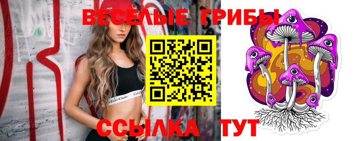 Галлюциногенные грибы GOLDEN TEACHER Ижевск