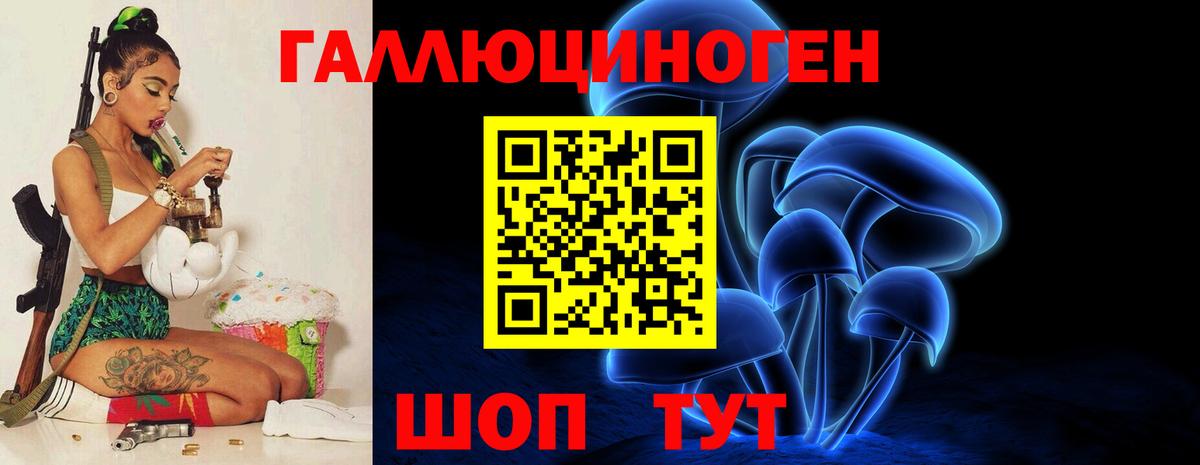 Галлюциногенные грибы GOLDEN TEACHER  как найти   Вход с VPN  Ижевск  Псилоцибиновые грибы прущие грибы 
